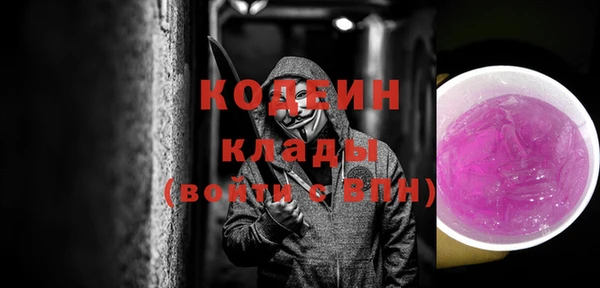 твердый Арсеньев