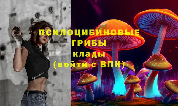 винт Баксан