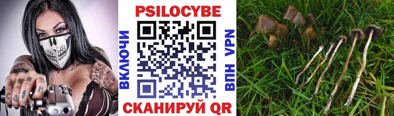 Псилоцибиновые грибы Psilocybine cubensis blacksprut как зайти Краснотурьинск как найти наркотики