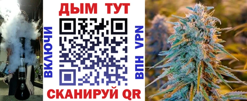 OMG как войти  Краснотурьинск  Канабис сатива 